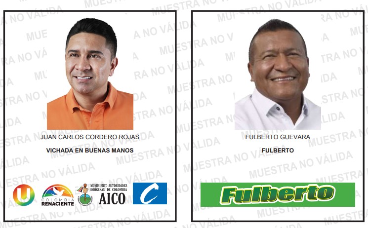 Elecciones atípicas Vichada