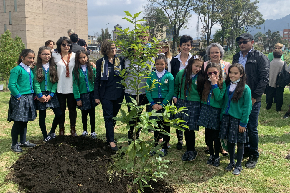 Justamente, el segundo árbol que se sembró lo hicieronlos embajadores Gabriela Soares, de Portugal; Yvonne Baumann, de Suiza; Alison Milton, de Irlanda; y Ewa Werner, de Suecia. Quienes estuvieron acompañados de los líderes Diana Sánchez, de Minga; Arnobis Zapata, de la Asociación Nacional de Zonas de Reserva Campesina (Anzorc) y Anarley Hoyos, líder de la Corporación Claretiana. Este grupo también estuvo acompañado del secretario de cultura del Distrito, Nicolas Montero.