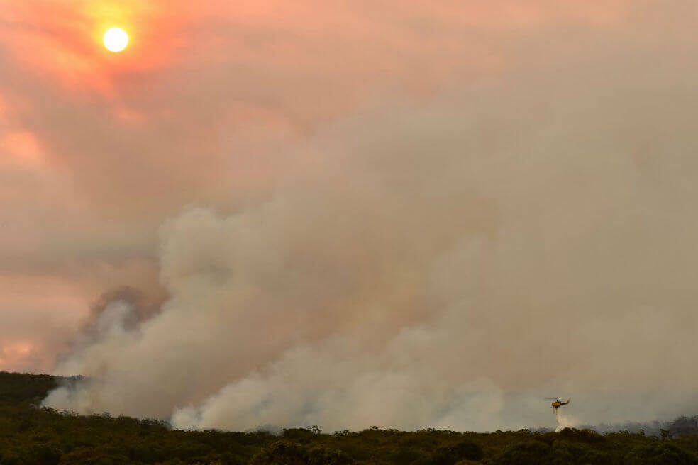 Australia registró el día más caliente de la historia –otra vez–