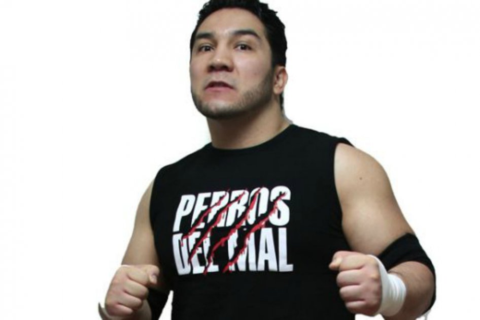 Muere luchador mexicano luego de recibir una patada de su rival
