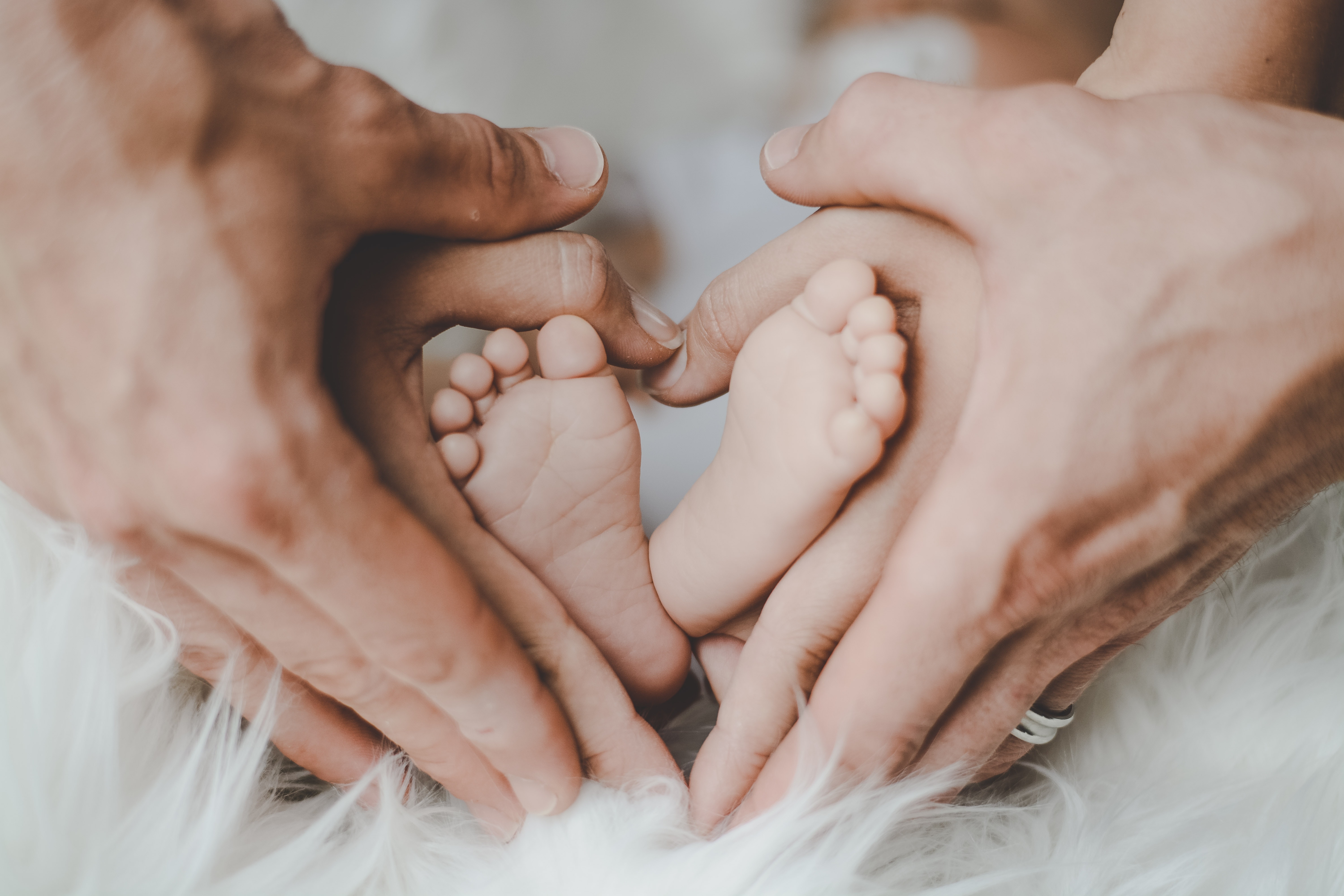 ¿Qué es la familia de crianza y cuáles son sus derechos?
