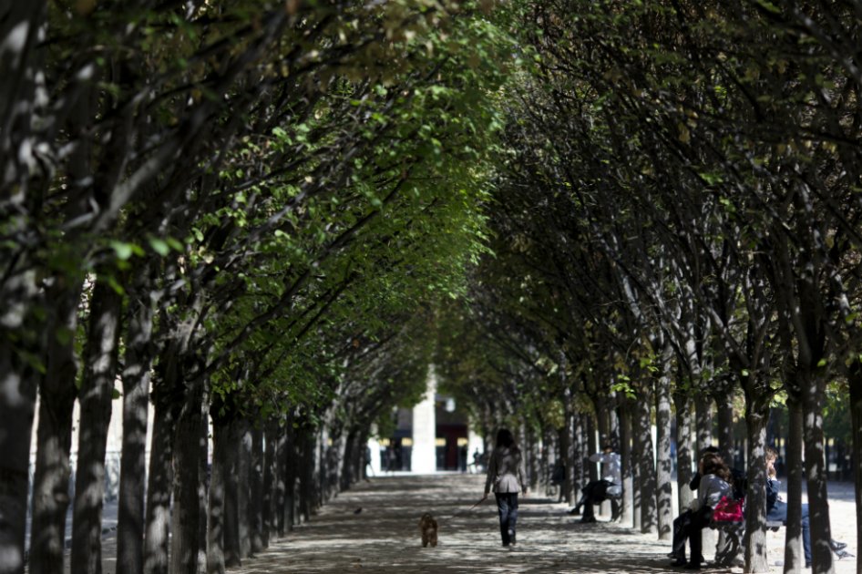 Seis regiones abren puertas para atraer más turistas extranjeros