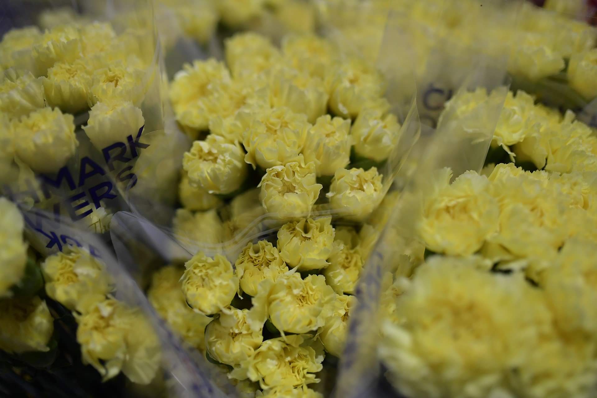 San Valentín en pandemia: así se prepara Bogotá para esta fecha especial