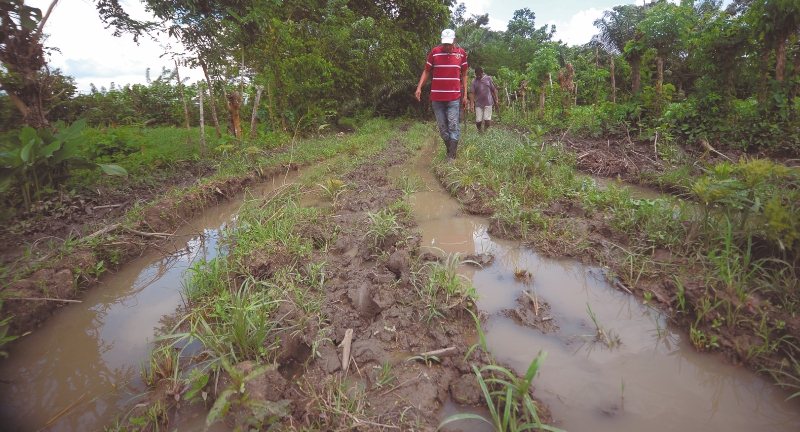 María la Baja, el ocaso de la tierra campesina