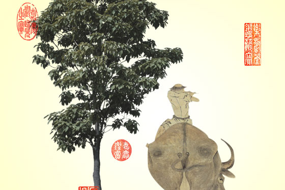 Taiwán abre exposición