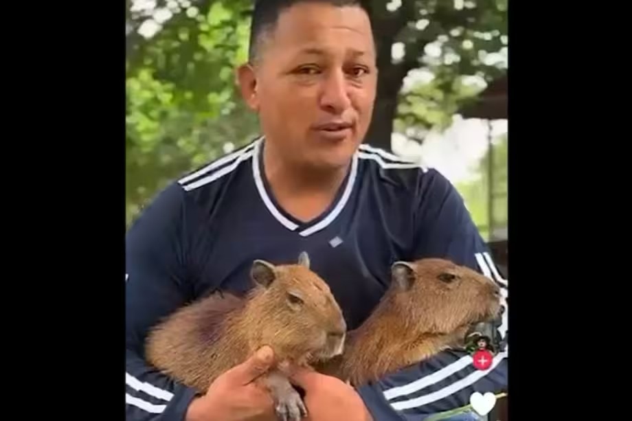 A la cárcel influencer señalado de usar animales en condiciones precarias en su contenido