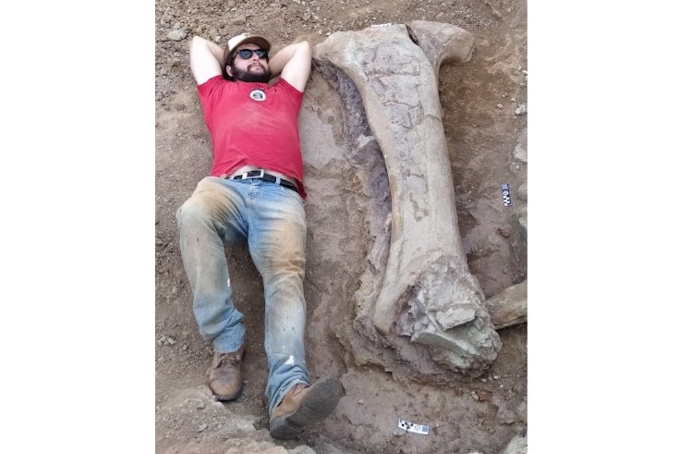 Para dar una idea del tamaño gigantesco del dinosaurio hallado, el paleontólogo de la UFSM, Leonardo Kerber, se acostó junto a uno de los fósiles excavados en Maranhão.
