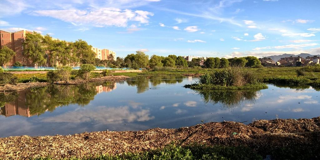 Día mundial de los humedales: Distrito reconoce su importancia en la cadena  ecosistémica de la ciudad |Bogotá noticias hoy| | EL ESPECTADOR