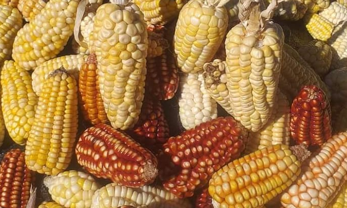 Encuentro de Cocinas Iberoamericanas
