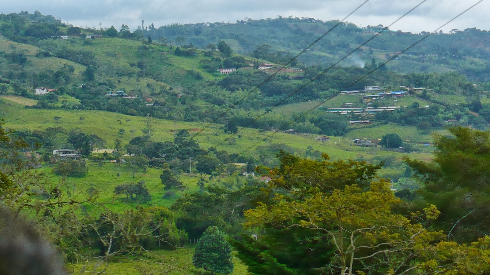 Encuentran un cuerpo desmembrado en zona boscosa de La Cumbre, Valle
