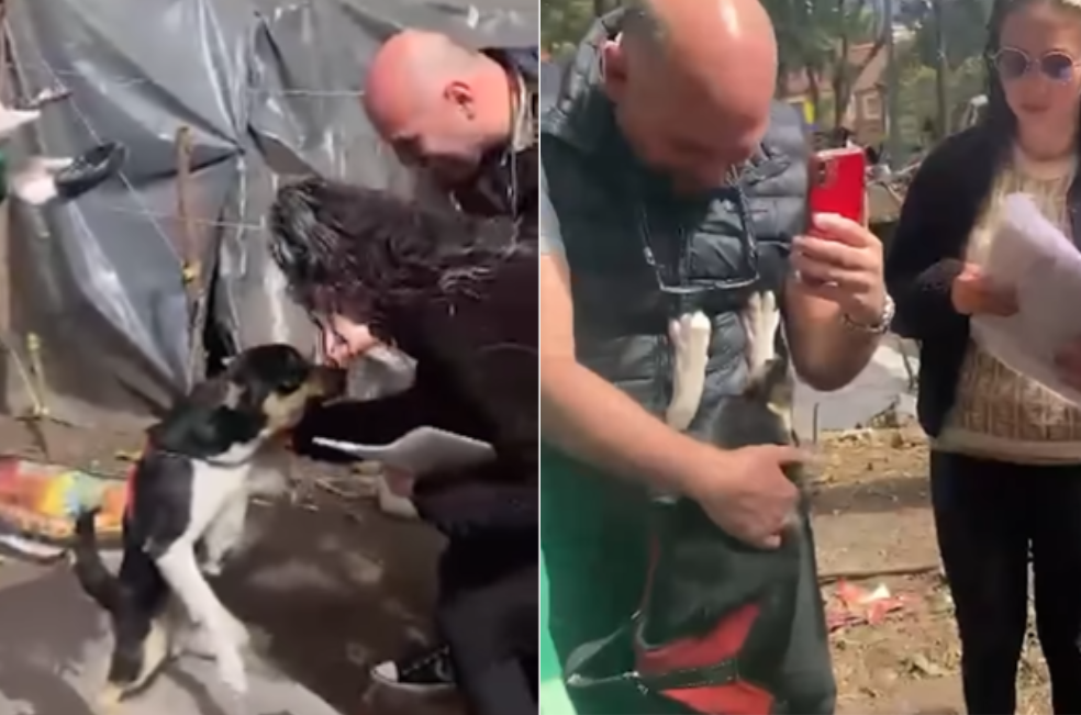 Kenji, un perro perdido, regresa a casa tras ser encontrado en la comunidad Emberá
