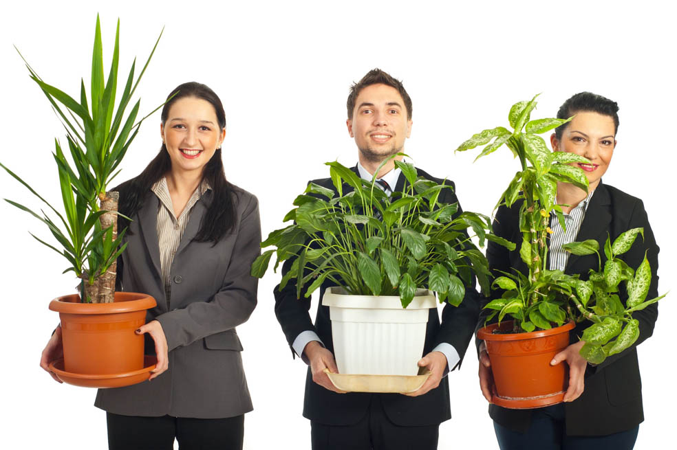 Psicólogos de plantas y arquitectos de realidades virtuales