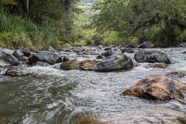 río Pance