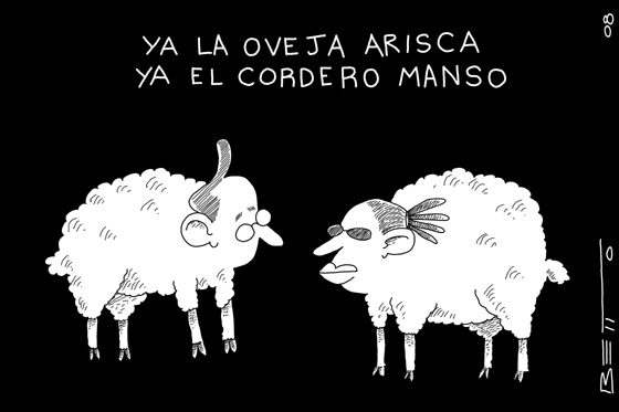 Oveja Arisca