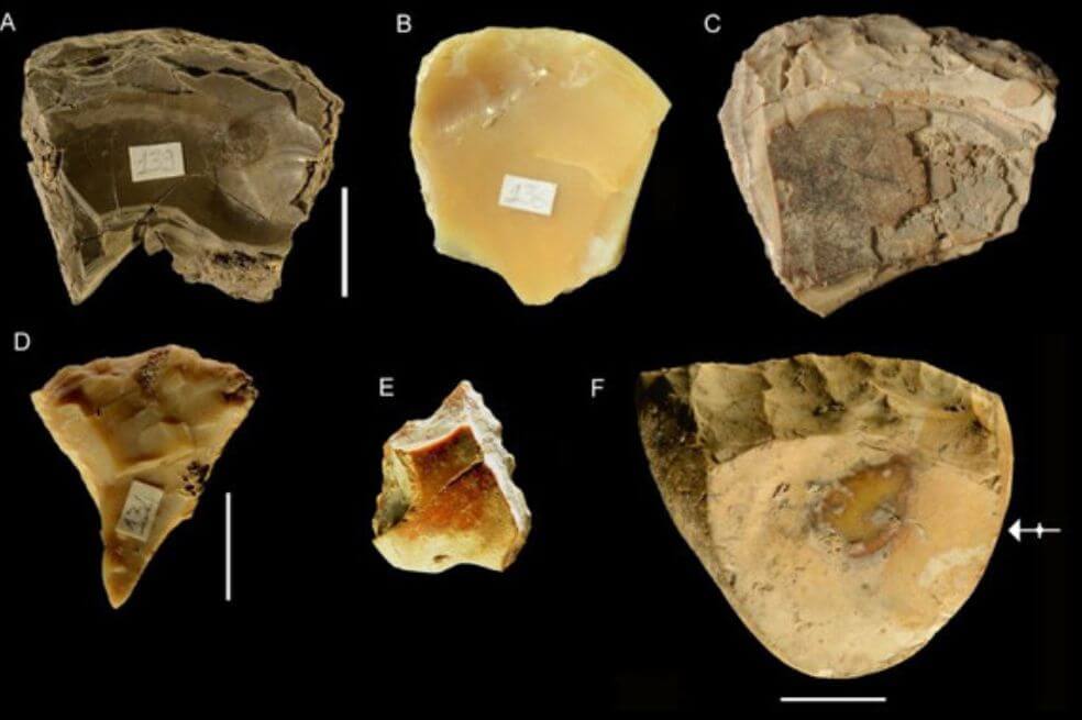 Los neandertales buceaban varios metros para recoger conchas