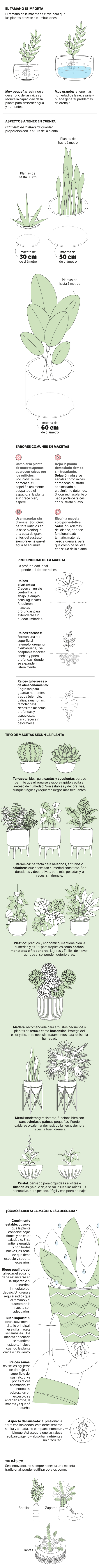 Todo lo que debe tener en cuenta para elegir las macetas
