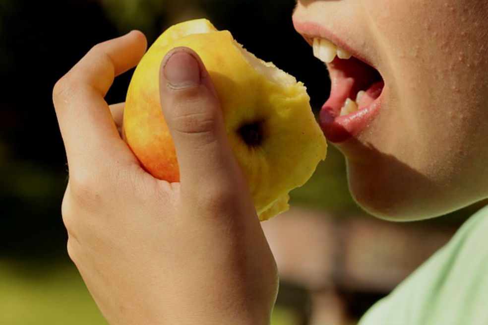 Tiendas saludables, la apuesta por una alimentación sana en colegios de Bogotá