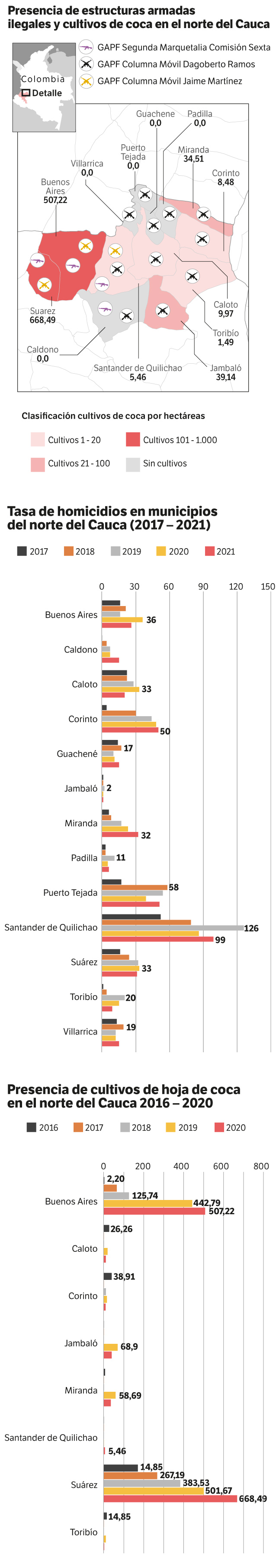 Grupos armados ilegales, homicidios y cultivos ilícitos en el norte del Cauca.