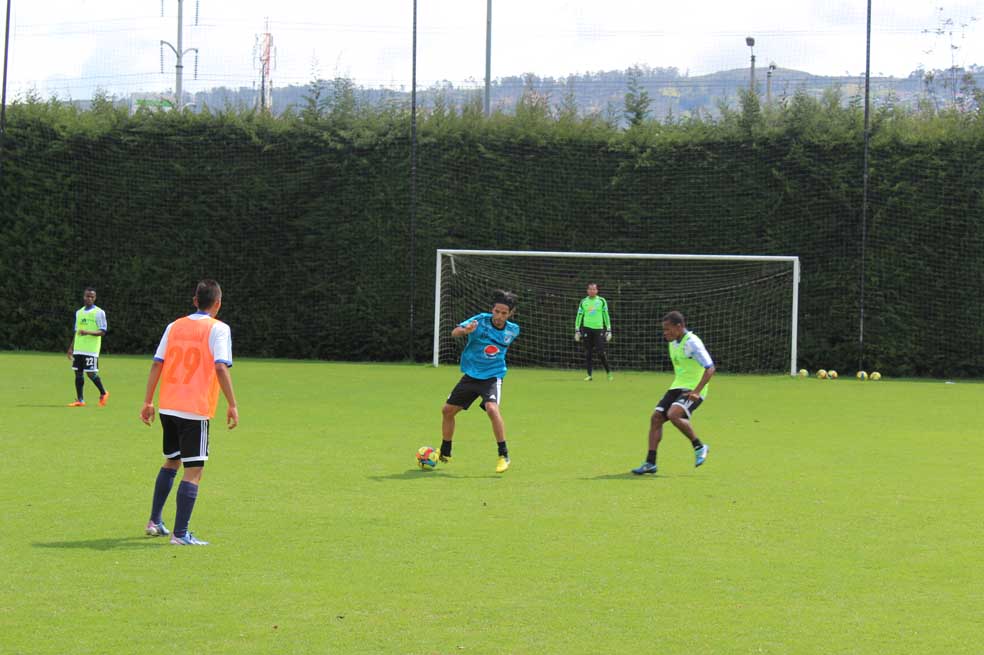 El Millos de Lillo coge forma