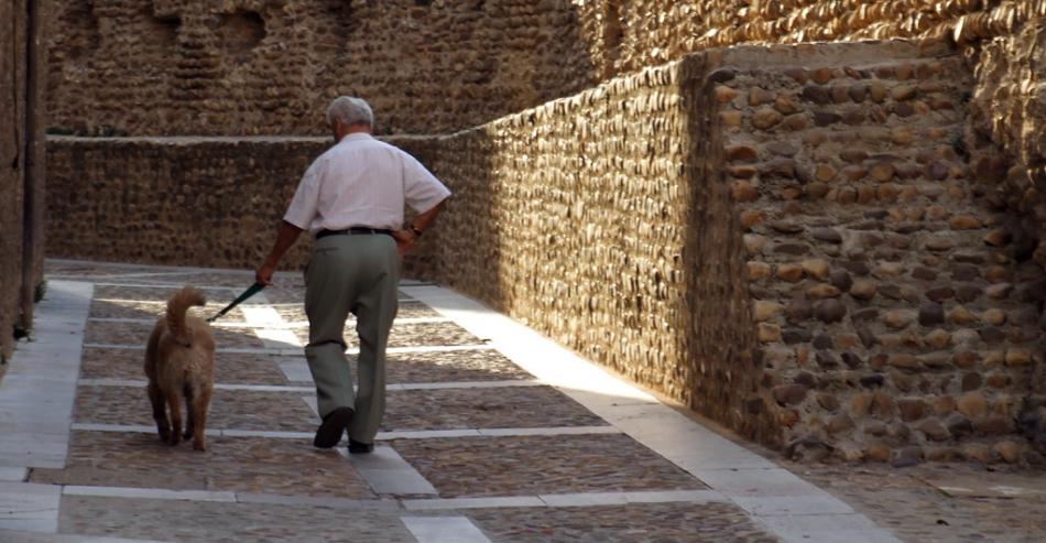 Cuatro beneficios de tener una mascota en la tercera edad