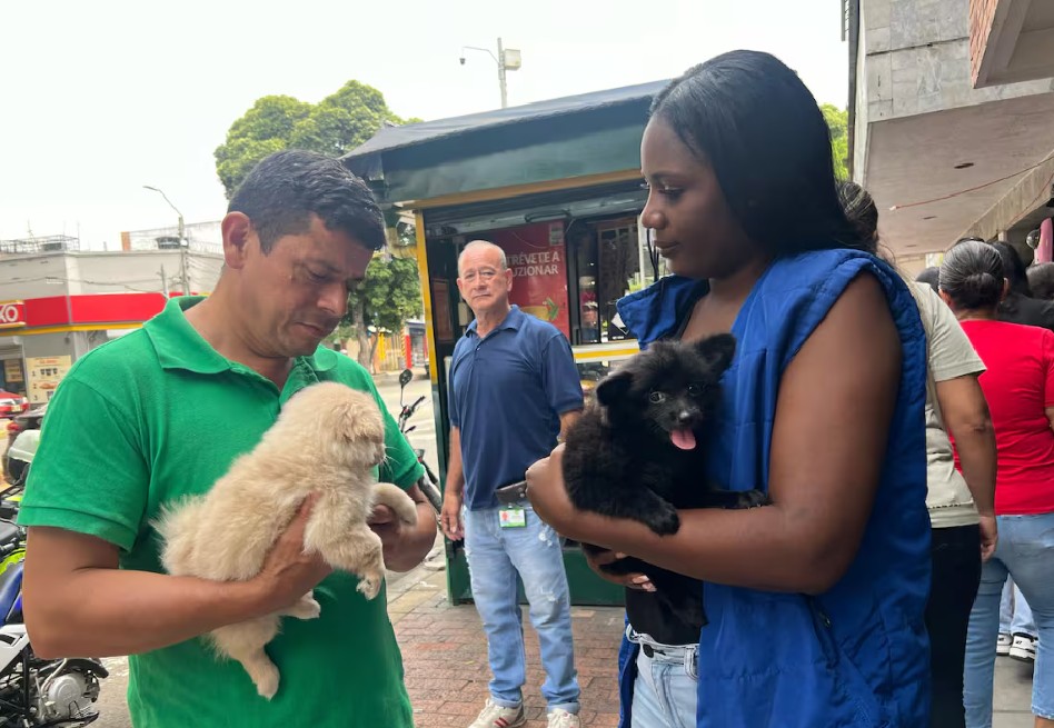 Bucaramanga garantiza recursos fijos para animales de la ciudad