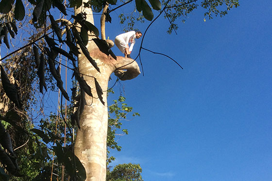 A 85 kilómetros por hora, Orlando Duque saltó desde un árbol de tres metros