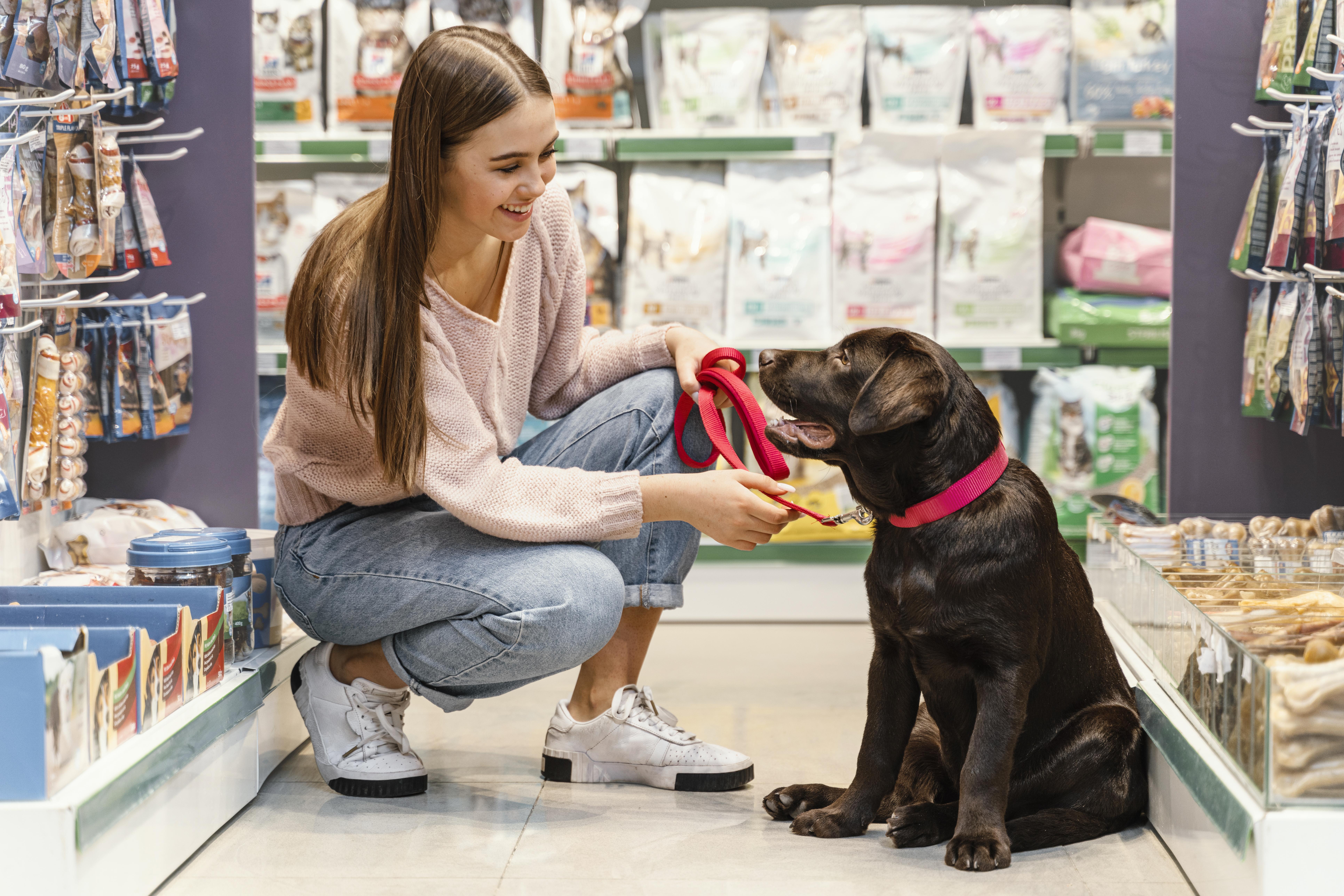 ¿Qué implicaciones tiene llevar a un perro al centro comercial?