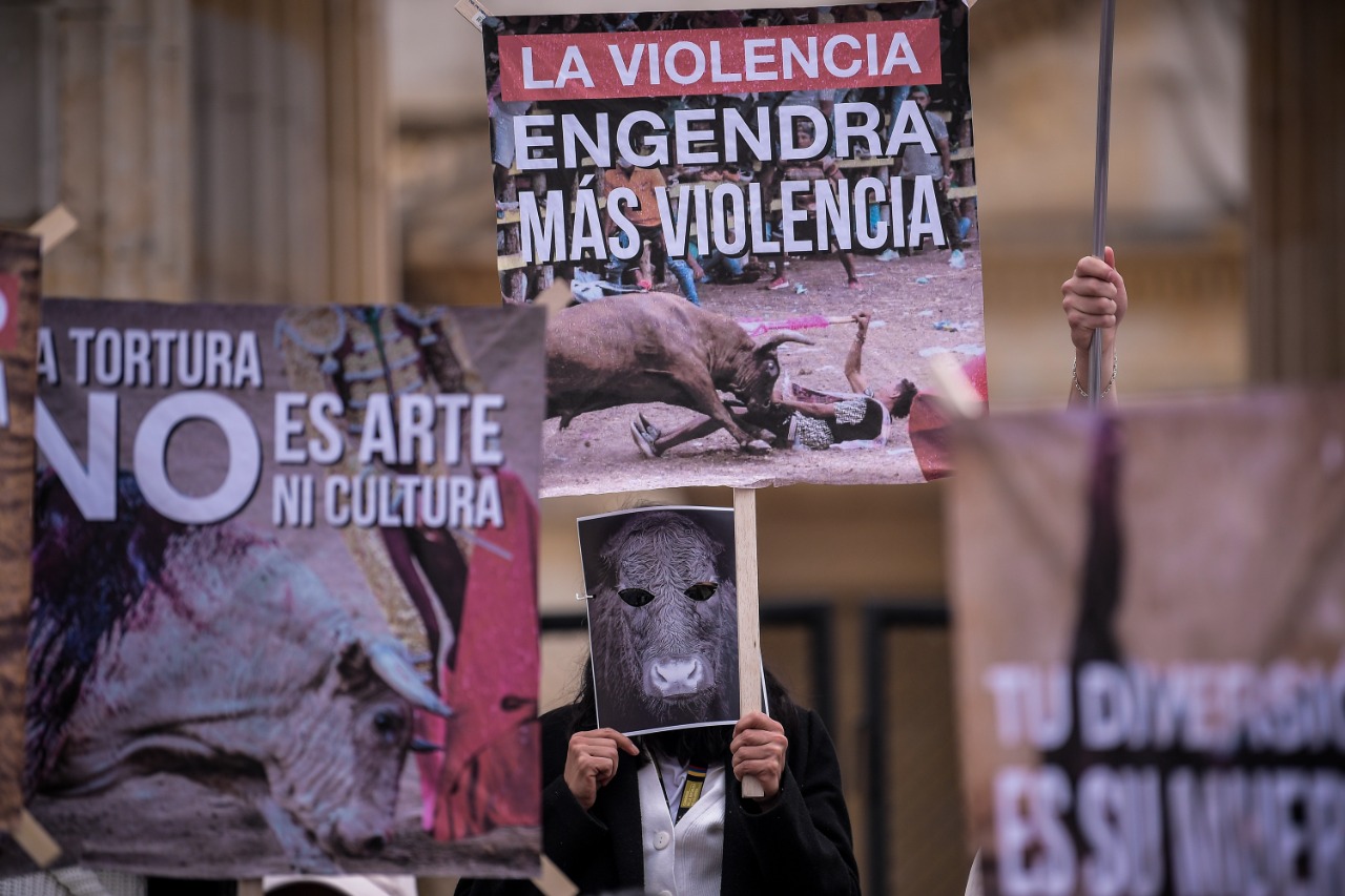 Protestas en defensa de los derechos animales