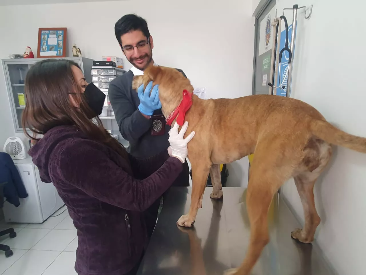 Colombiano es buscado por autoridades chilenas tras maltratar a su perra ‘Layka’