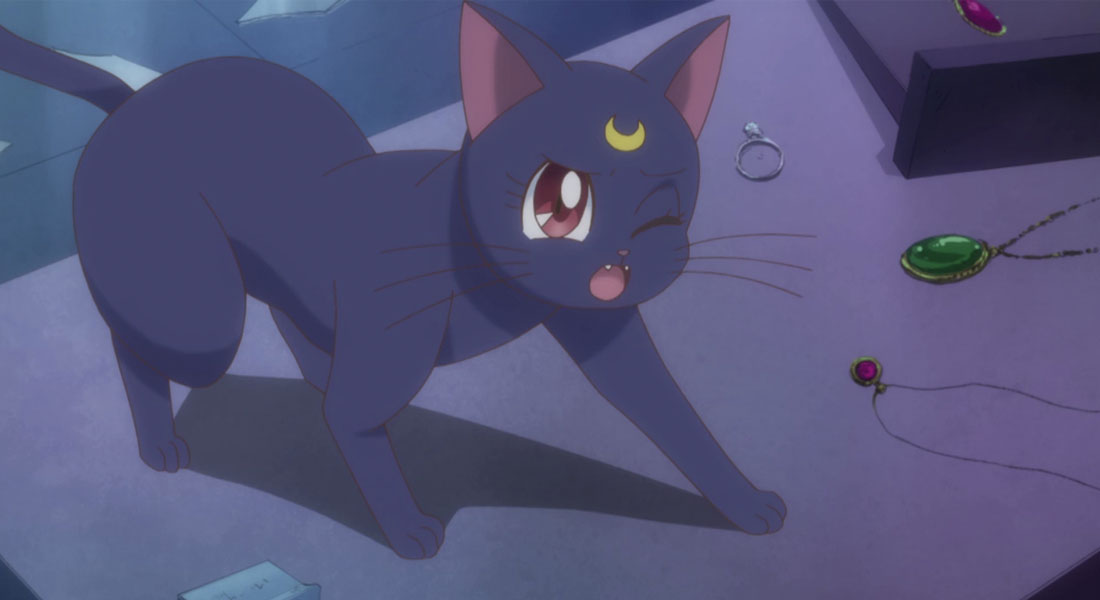 Luna es un personaje que aparece en el manga y anime Sailor Moon. Es una gata de color violeta oscuro que puede hablar y acompaña siempre a la protagonista, Usagi Tsukino.