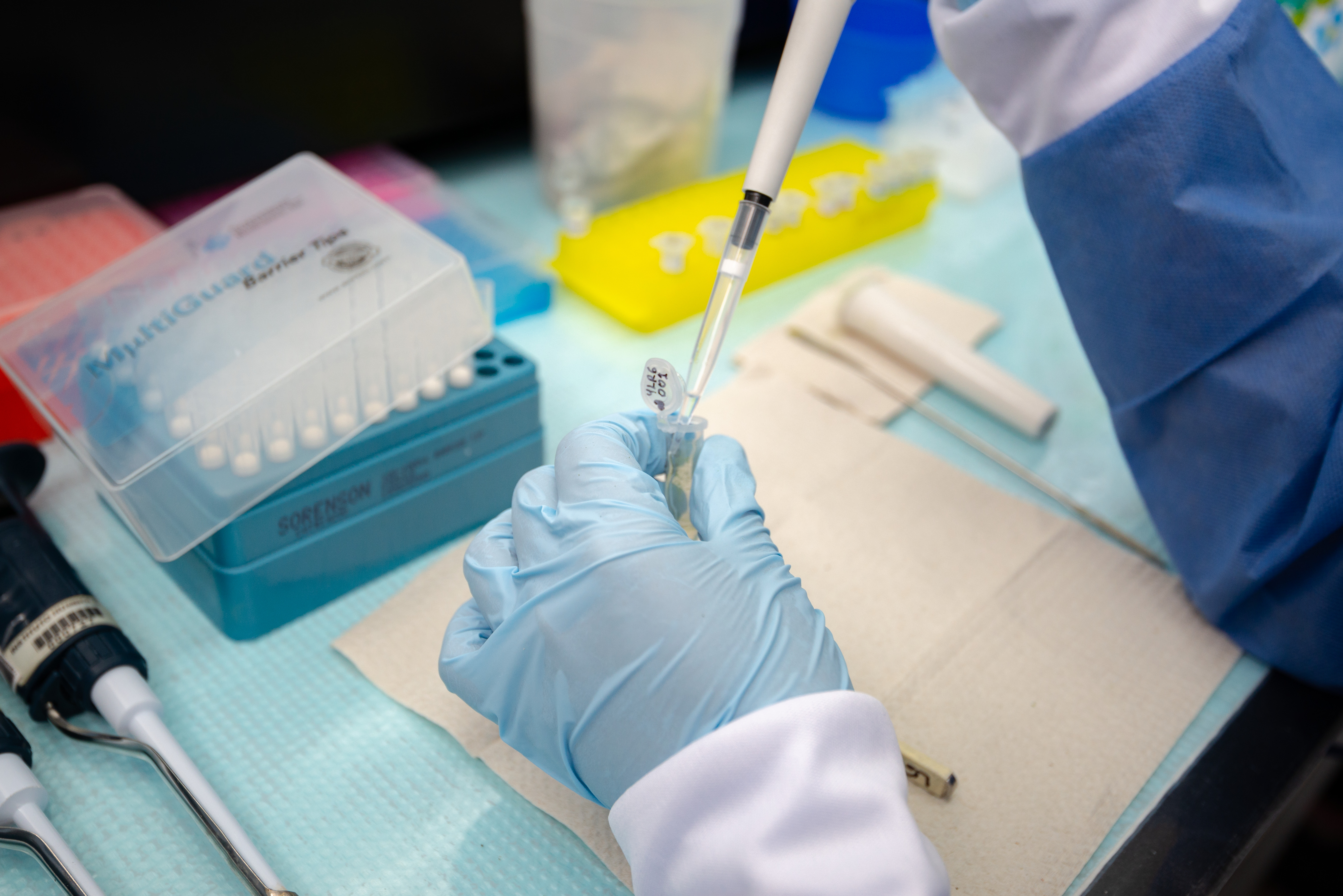 La genética es conocida como la primera escala de la diversidad biológica.