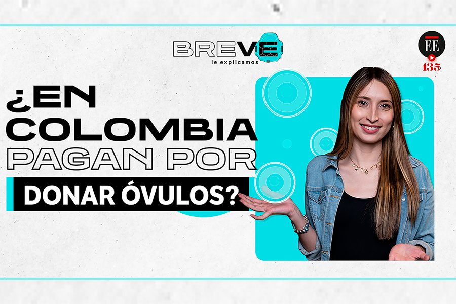 ¿Va a donar óvulos? Antes, debería saber esto