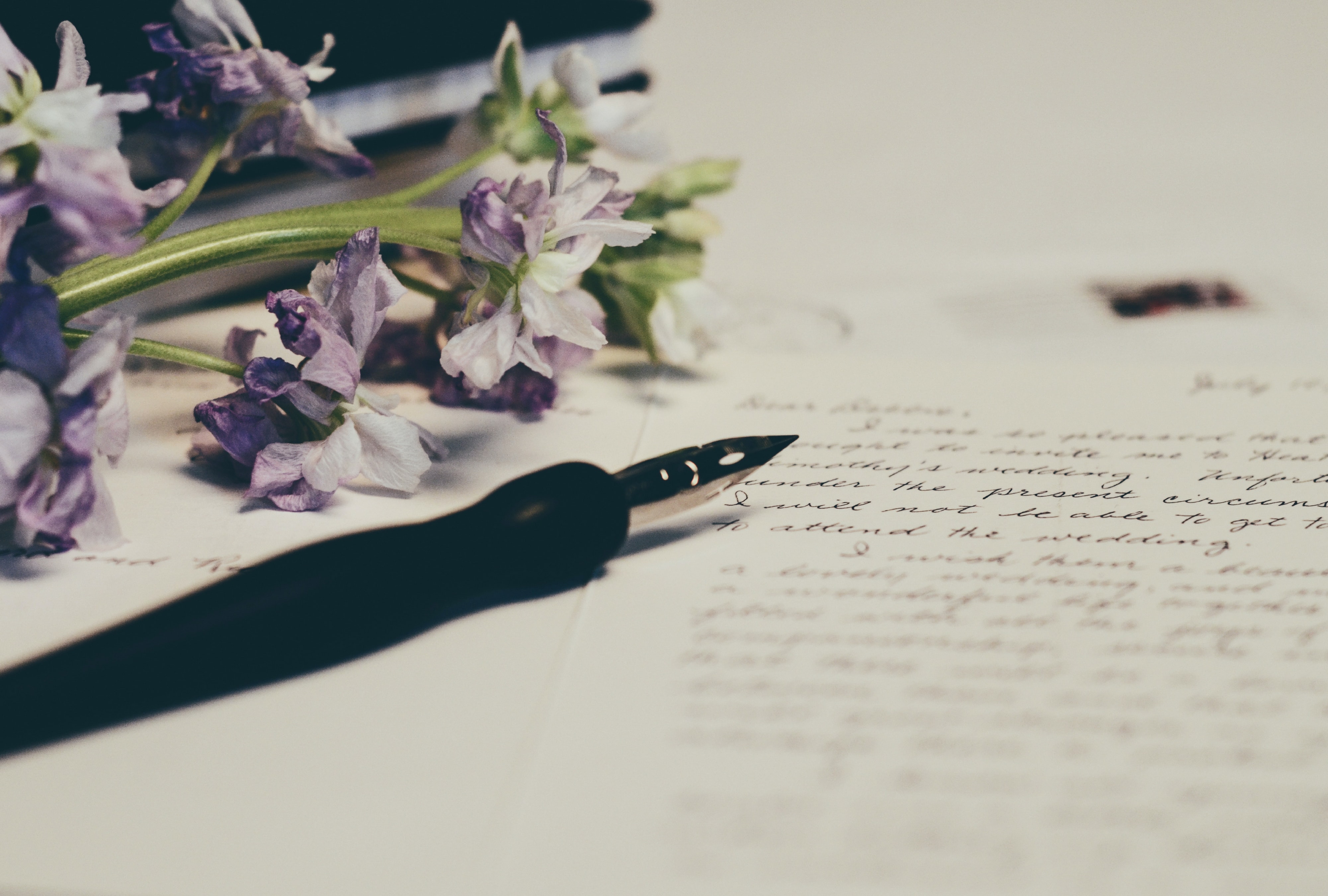 Carta de una mujer a su extraño amante (verso a verso)