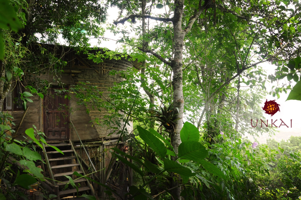 Unkai, una casita en el árbol, en Choachí (Cundinamarca).