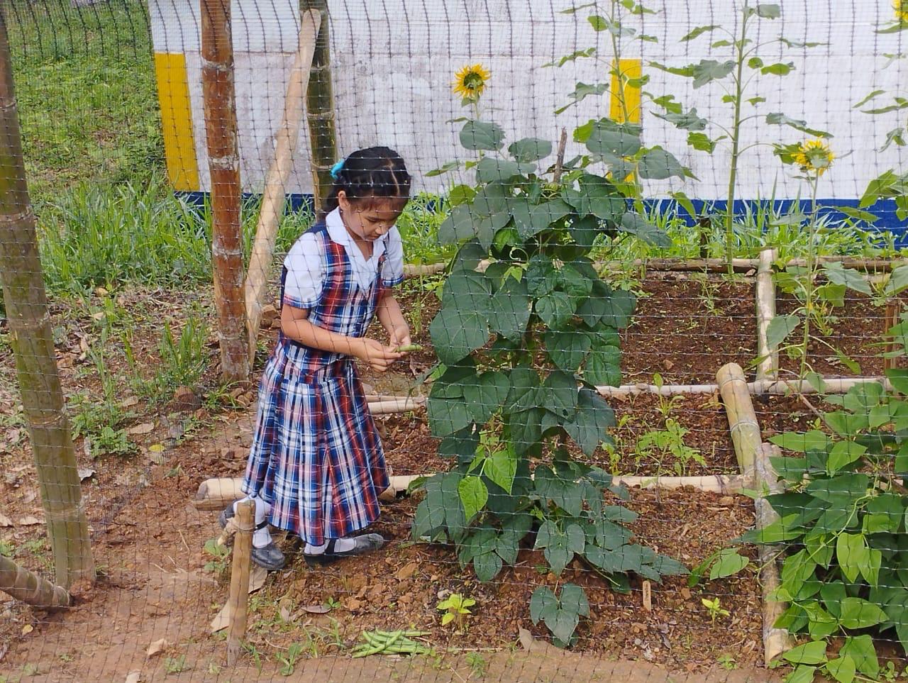 Las huertas escolares representan una oportunidad ideal para que estudiantes y familias mejoren su alimentación mientras descubren el valor intrínseco de proteger el medio ambiente.