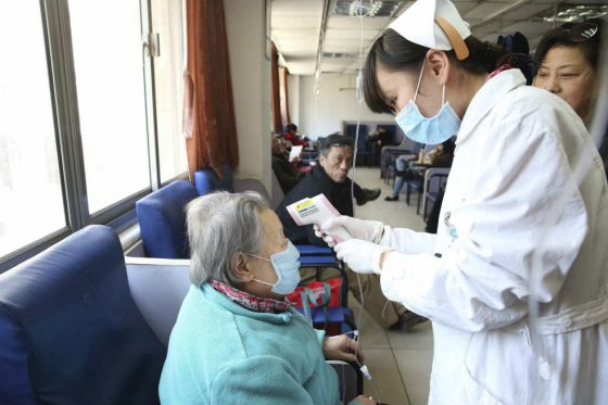 OMS en alerta máxima ante rápida propagación de la gripe aviar en el mundo
