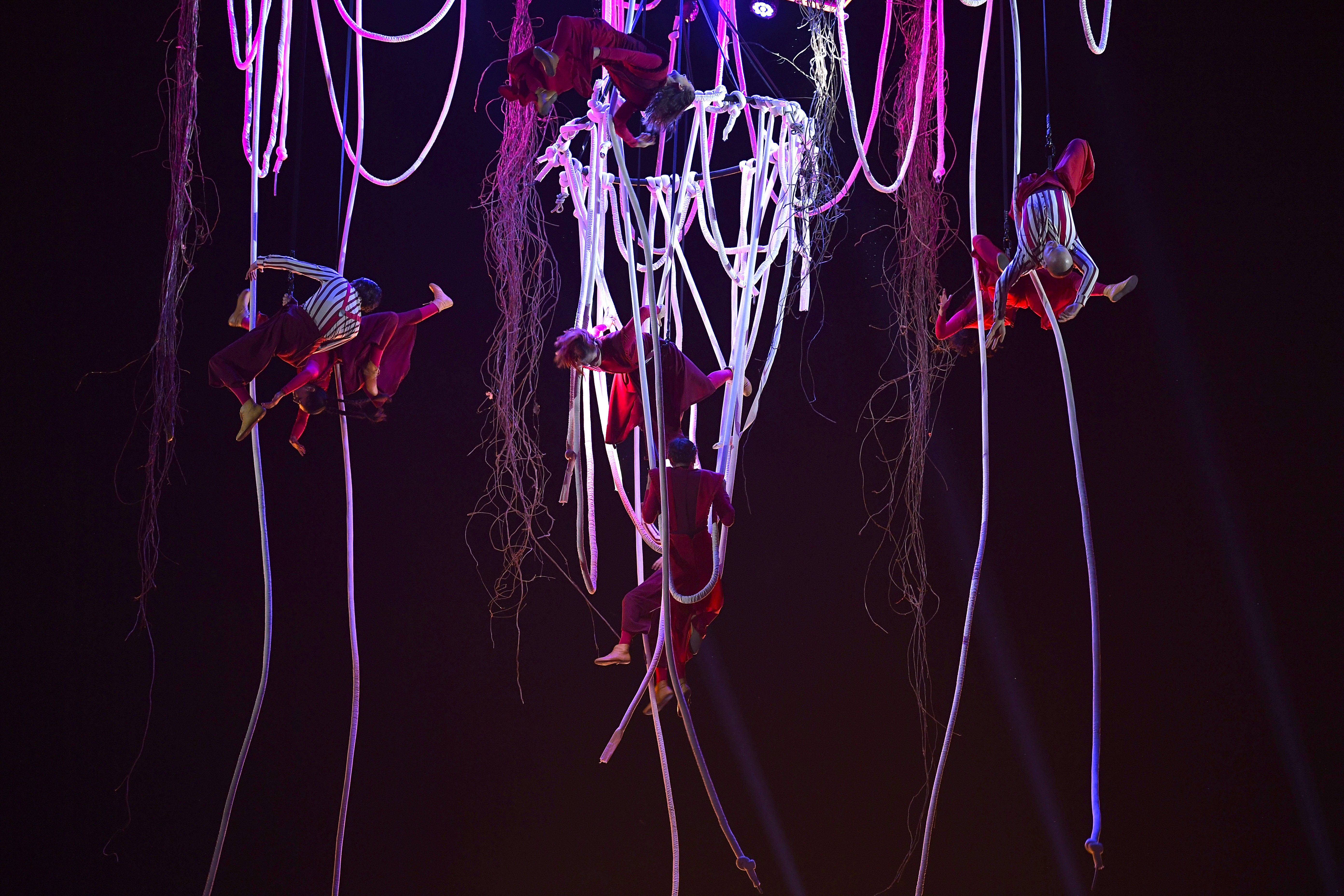 Árbol de la abundancia - Obra de teatro
