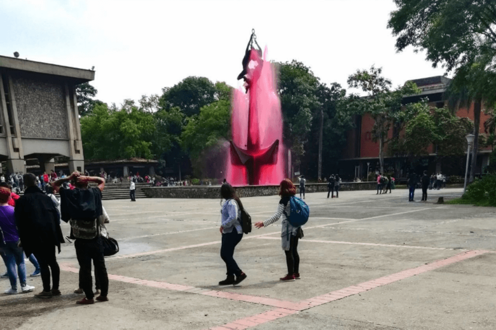 Bloqueo en la UdeA impide que evalúen riñones para donación y alimenten animales