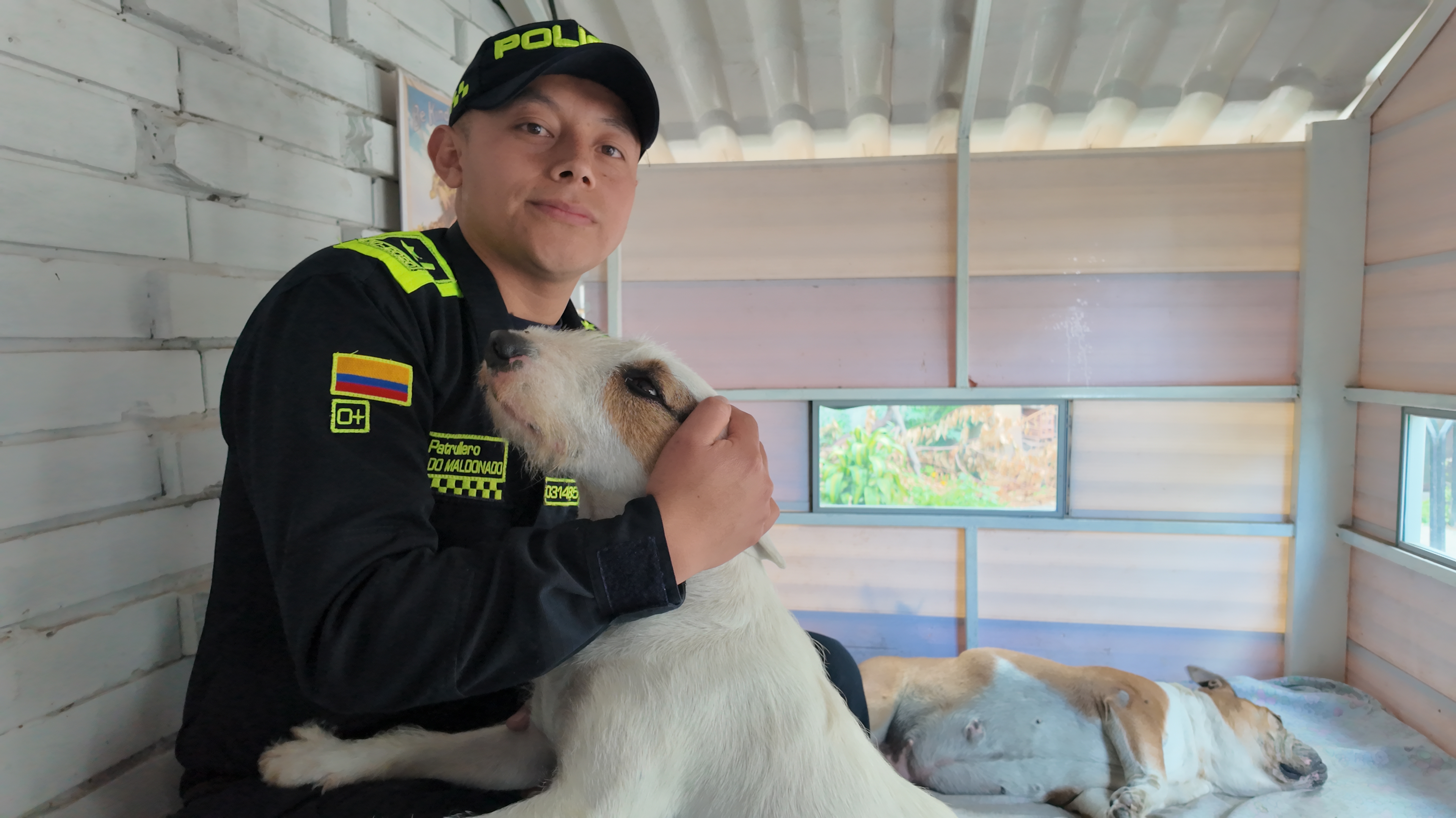 Policías de Bogotá convierten parte de la estación en hogar para perros callejeros