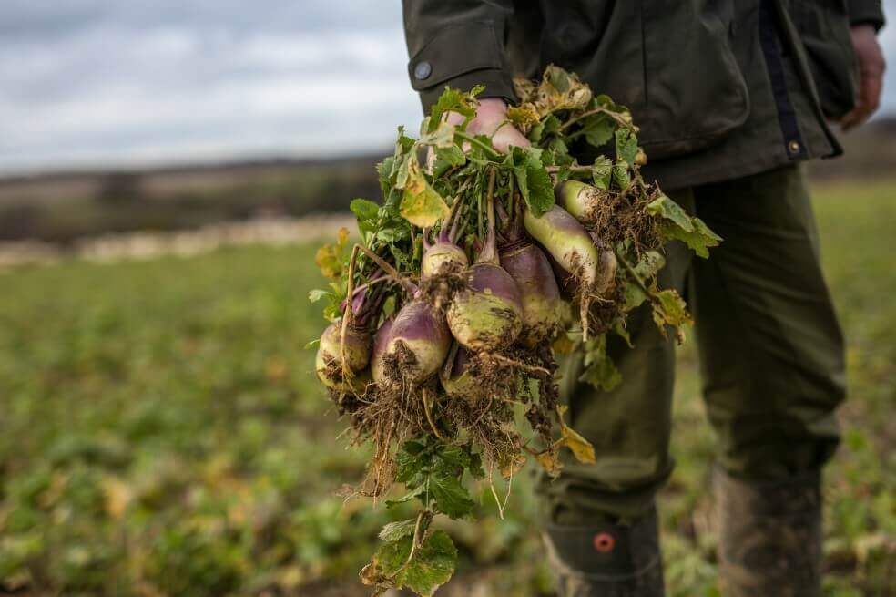 Buscan centralizar la información del sector agropecuario