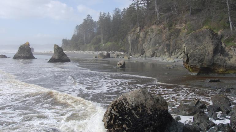 La Costa de los Naufragios es una de las rutas de senderismo más salvajes de Estados Unidos. No solo ofrece paisajes espectaculares, sino que también permite a los senderistas sumergirse en la historia marítima de la región y experimentar la naturaleza en su estado más puro.