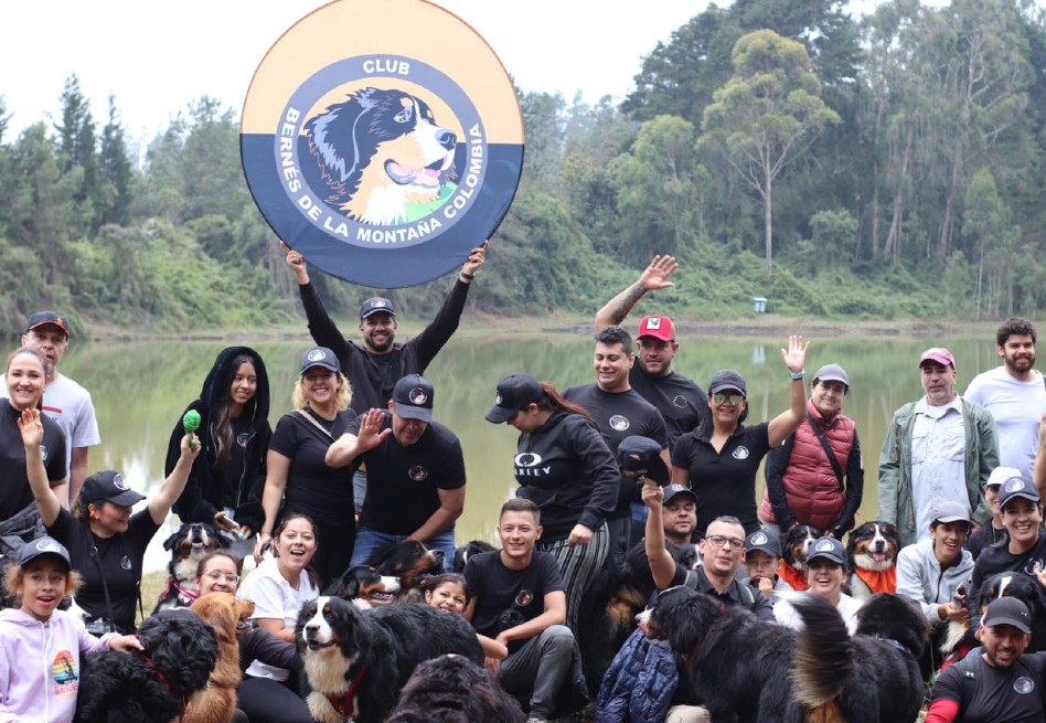 Bernés Colombia: la red de amor y conciencia que nació entre árboles y ladridos
