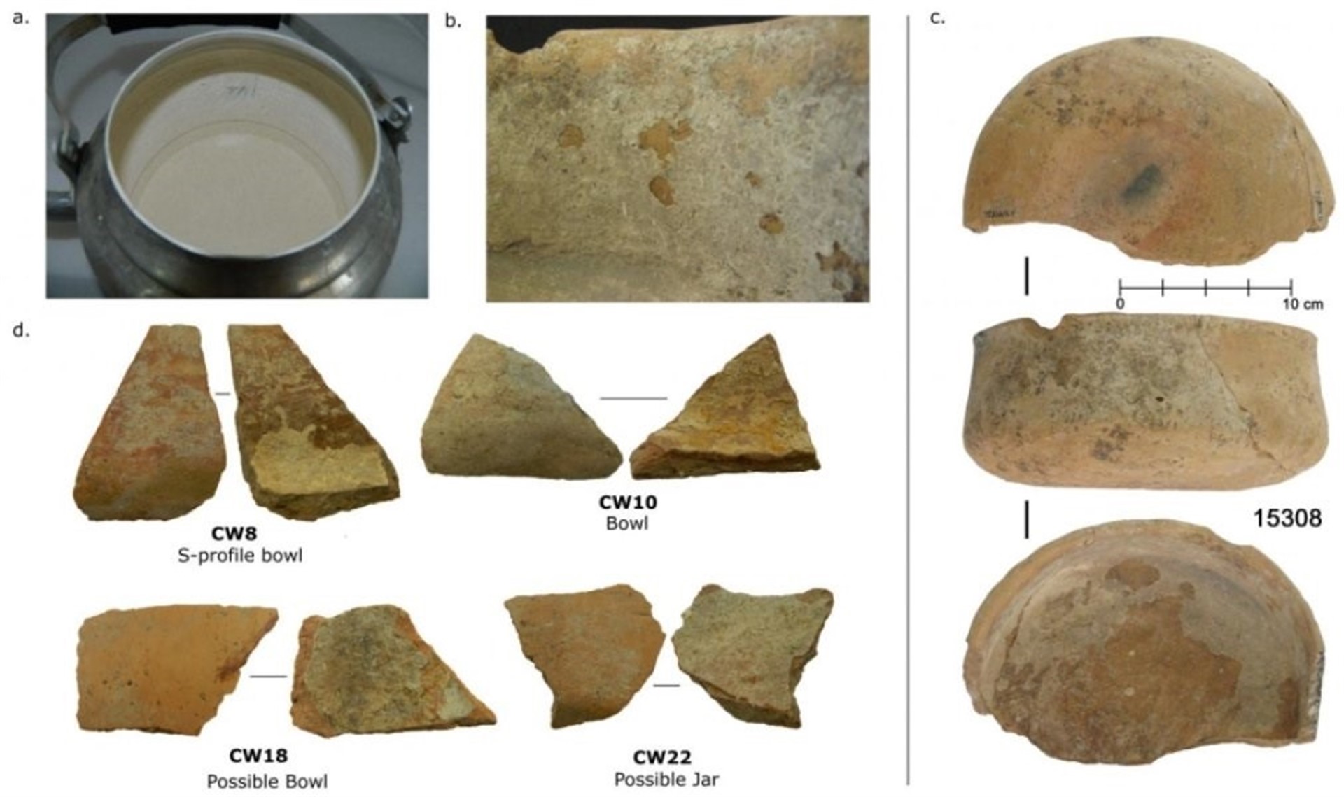 Cabras, arvejas y trigo, los alimentos que comía el hombre hace 8.000 años