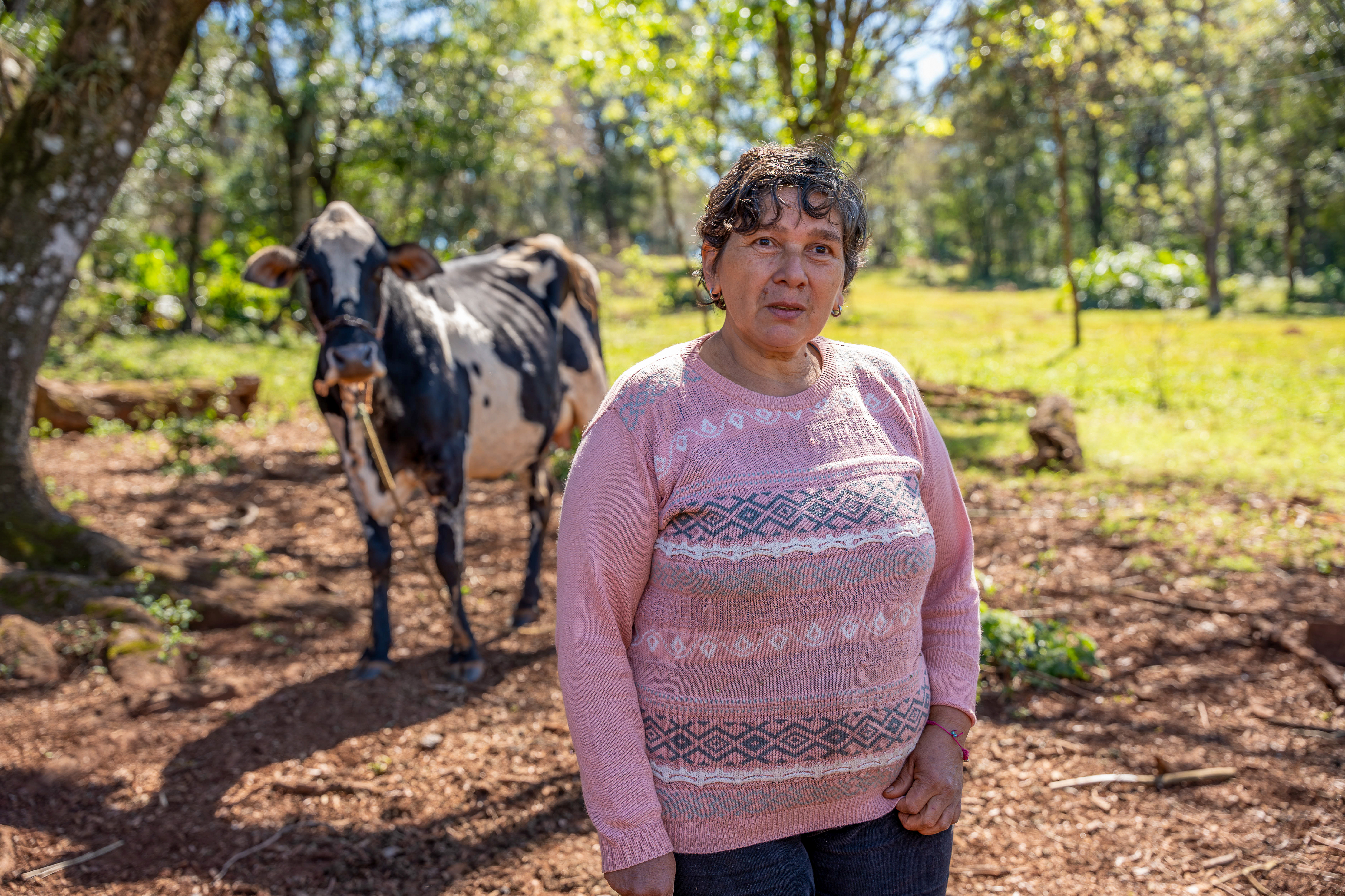 A través del Proyecto Pagos por Resultados de REDD+ de la Argentina, implementado por la FAO junto al Gobierno nacional argentino y financiado por el Fondo Verde para el Clima, las mujeres comenzaron a diseñar, de manera comunitaria y mediante reuniones y talleres, estrategias productivas sostenibles, como cría de animales menores, reforestación, apicultura y agroforestería. Se trata de planes de inversión que fortalecen sus capacidades técnicas, organizativas y comunitarias.