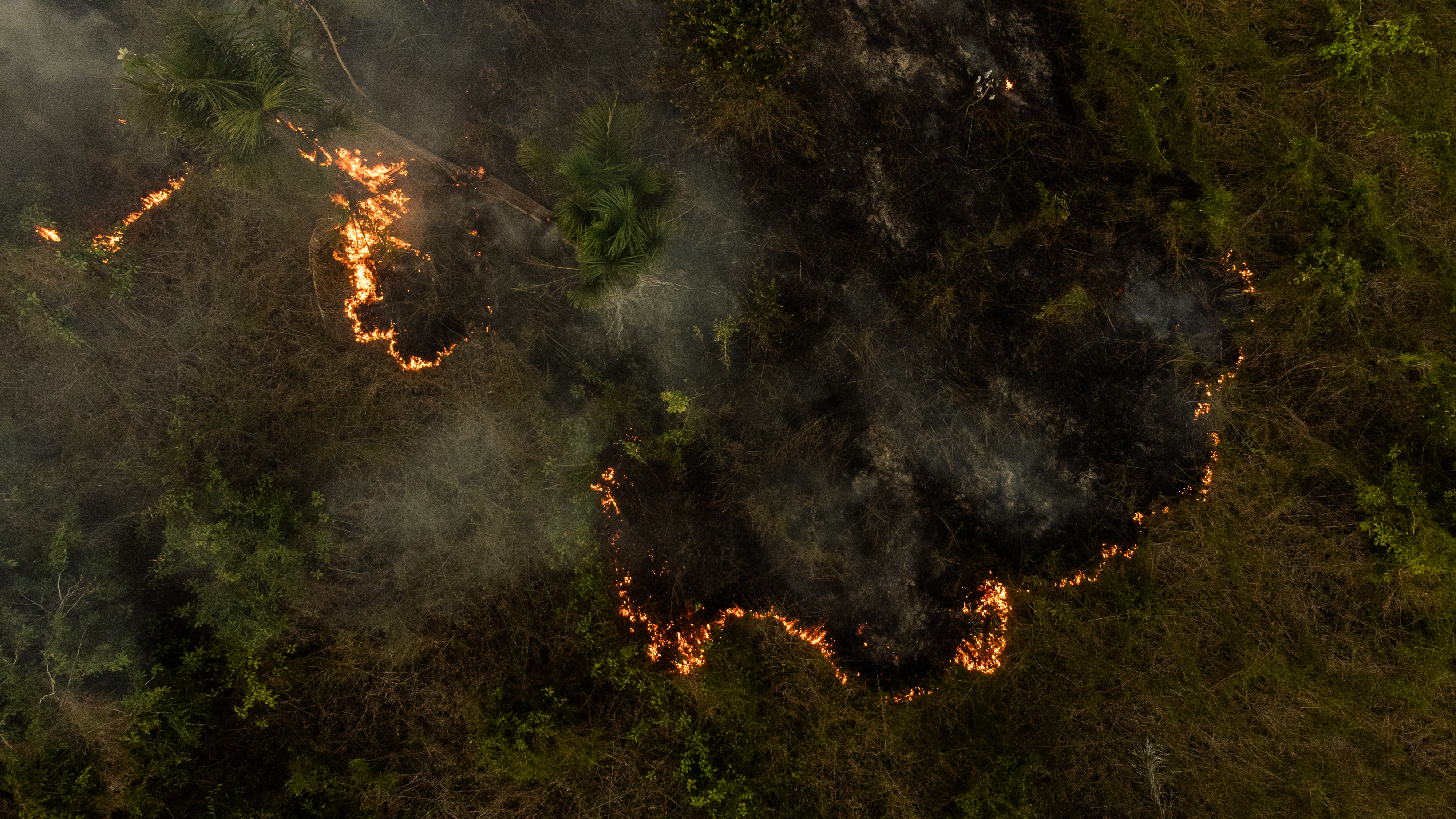 AME6401. MANAOS (BRASIL), 05/09/2024.- Fotografía tomada con un dron de un incendio que se apoderó de una zona verde este jueves, en la ciudad de Manaos, Amazonas (Brasil). Amazonas, el estado más grande de Brasil, sufre una crisis ambiental. Luego de vivir la mayor sequía de su historia e incendios récord en 2023, todo indica que este año las cifras podrían ser superadas e incluso antes de lo previsto. EFE/ Raphael Alves