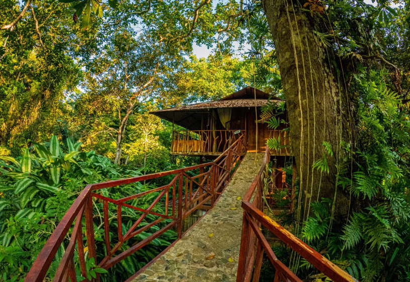 Descubra la Puerta de Oro de la Amazonía: un viaje al corazón del Caquetá