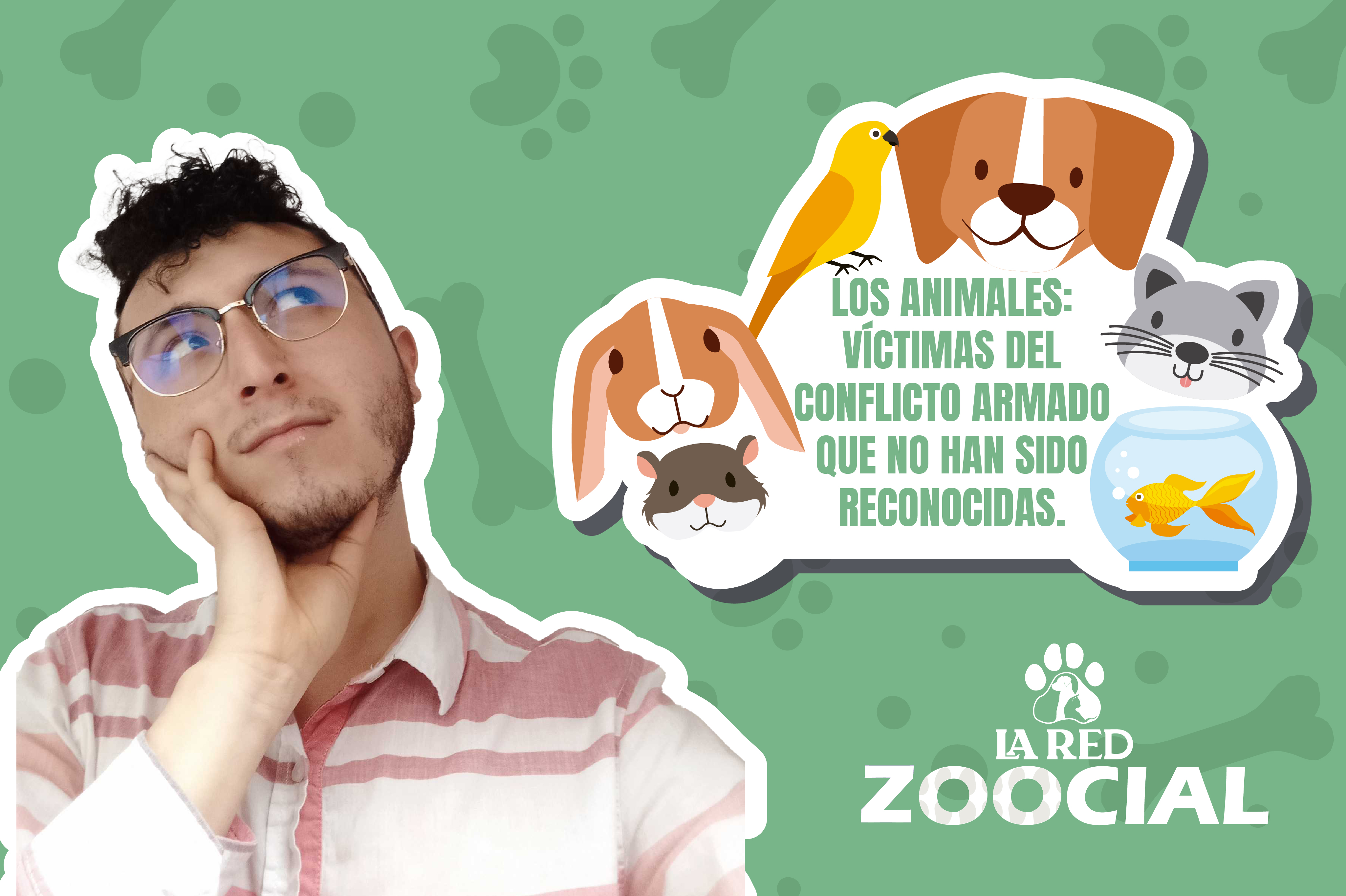 (Video) Los animales: víctimas del conflicto armado que no han sido reconocidas