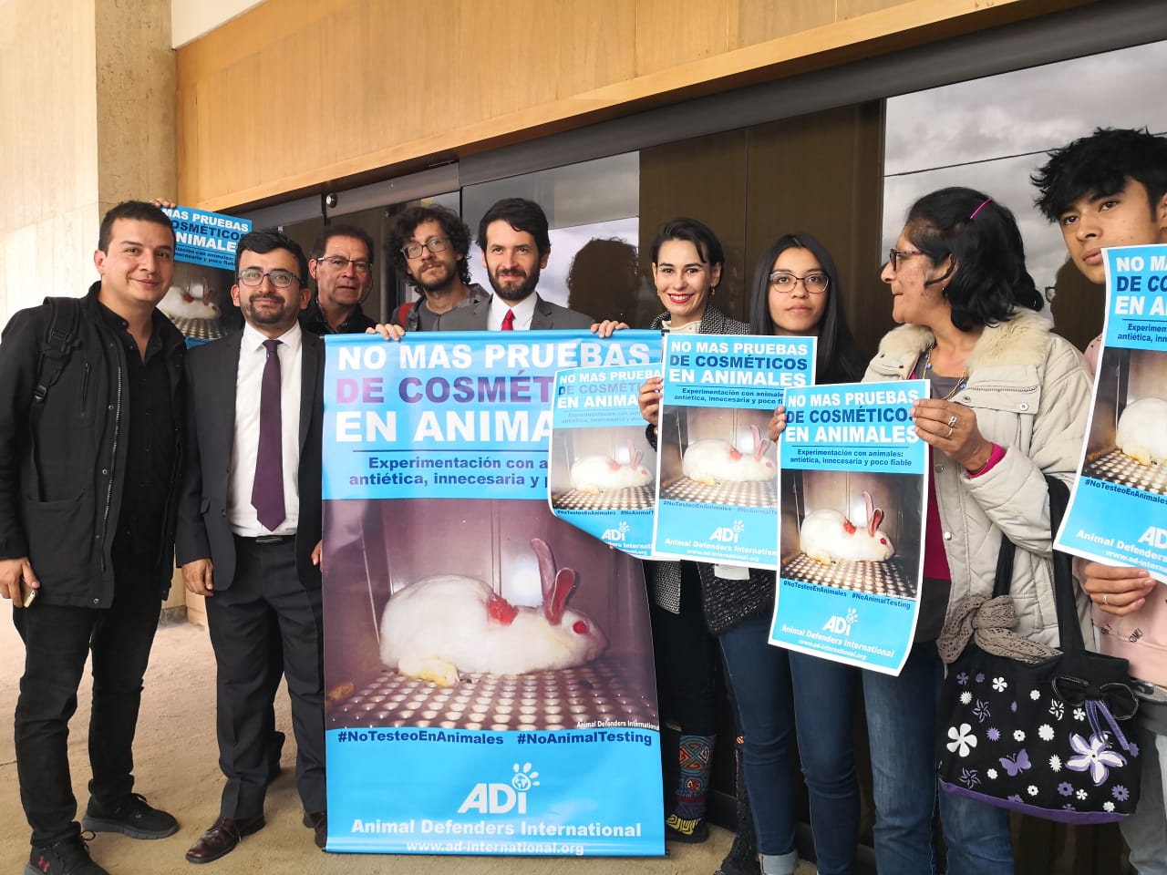 Quedan dos debates para que prohiban las pruebas cosméticas en animales