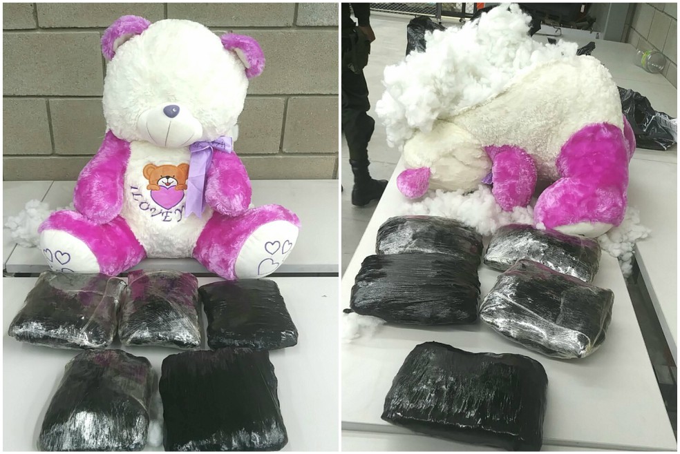 Policía incauta osa de peluche rellena de marihuana en Bogotá