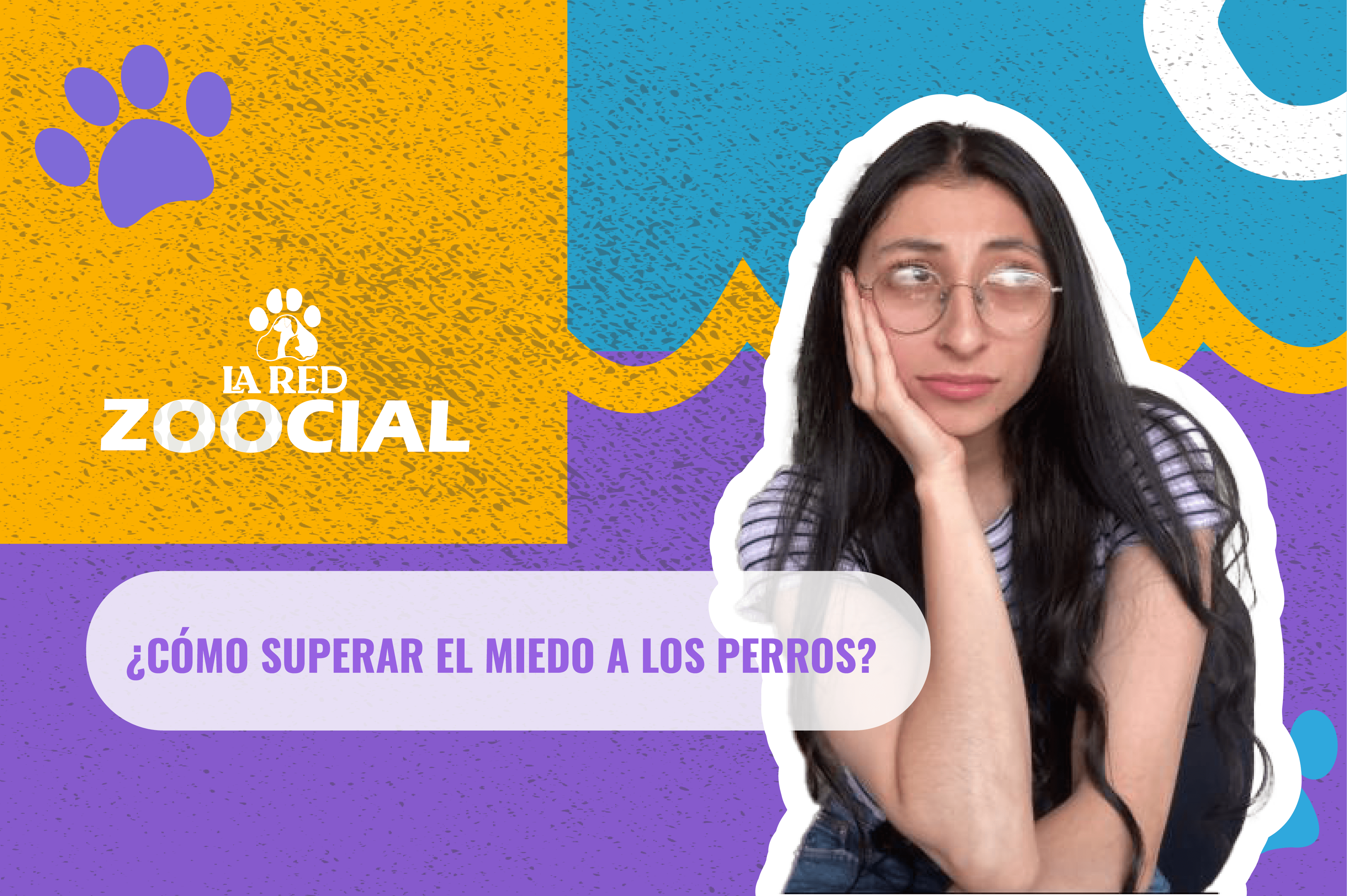 ¿Cómo superar el miedo a los perros?